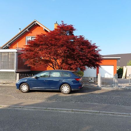 Sonnige Ferienwohnung Bei Familie Koehler Kappel-Grafenhausen Buitenkant foto